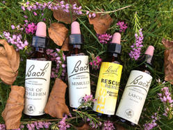Consultaţii şi tratamente florale Bach personalizate